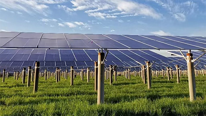 Luotian 100MW Agro-solar Hybrid PV Power Generation Project 