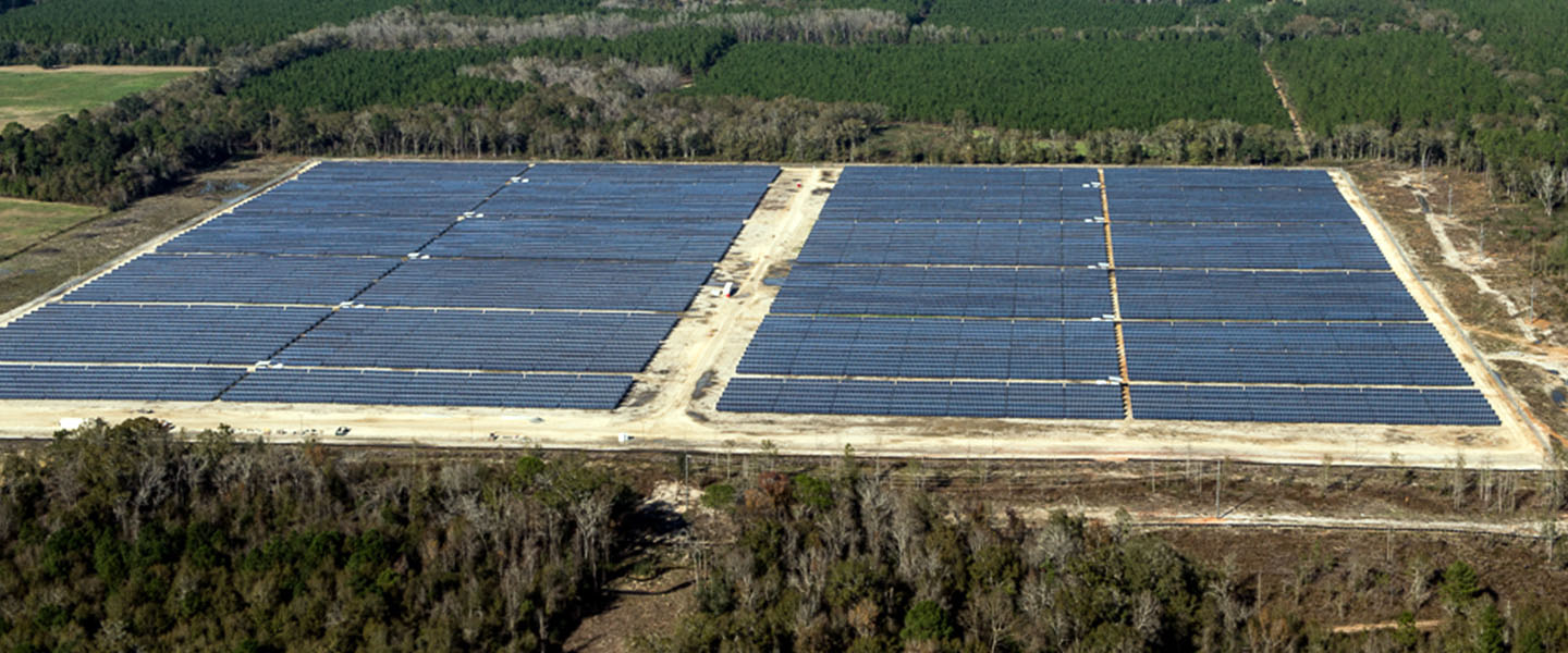 Camilla Utility Project Trina Solar