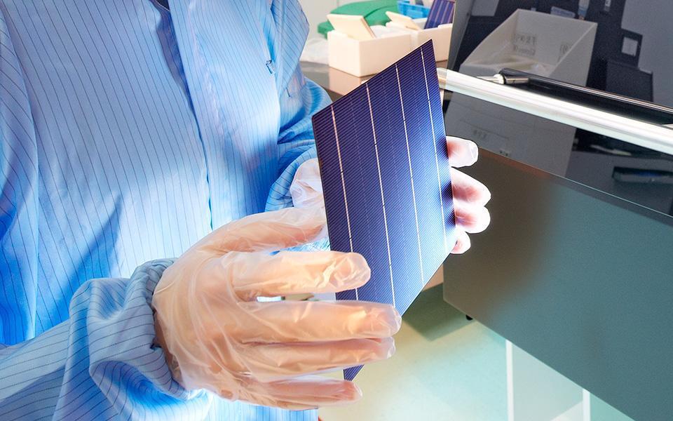 Utility Scale Agrivoltaic Proposal For Nsw Opens For Public Exhibition Pv Magazine Australia